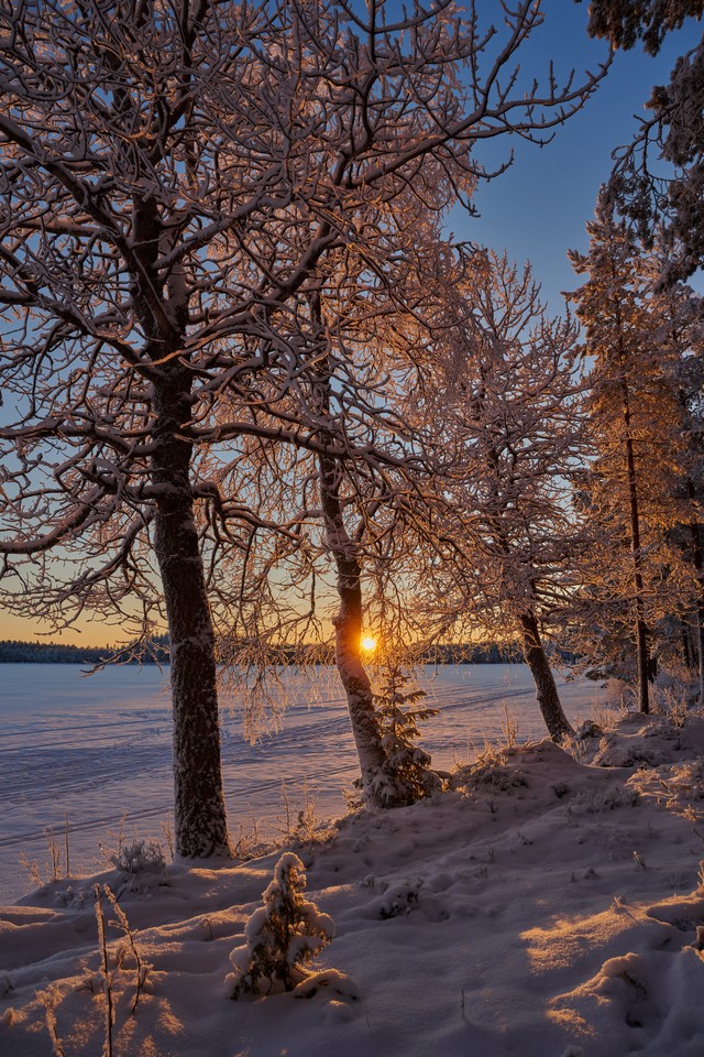 Nikon Z 24-105 f4-7.1_31w.jpg