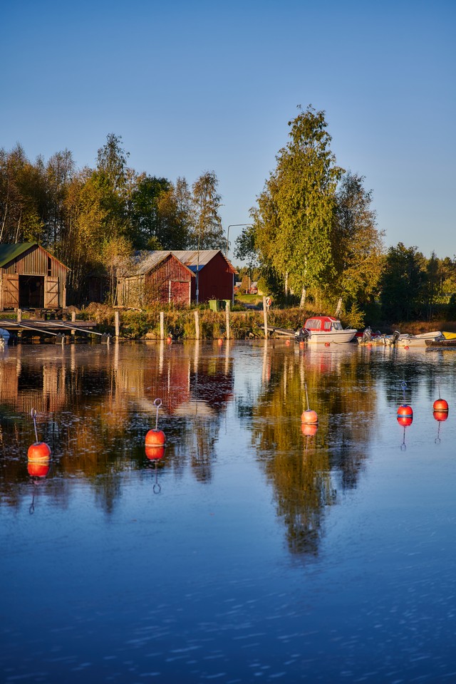 Nikon Z 24-70mm f2.8 II_30w.jpg