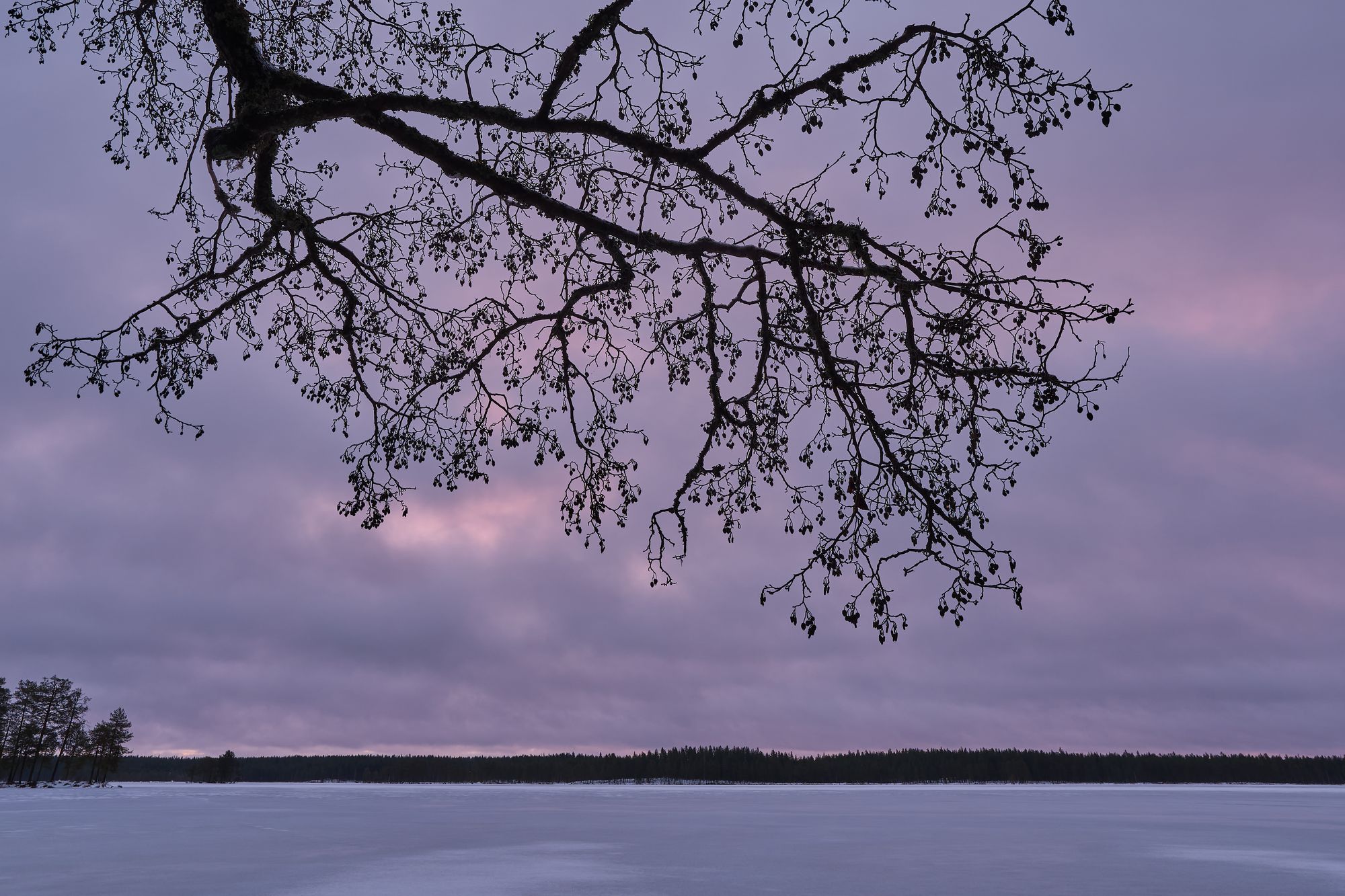 Sony A7 V_blogg10.jpg