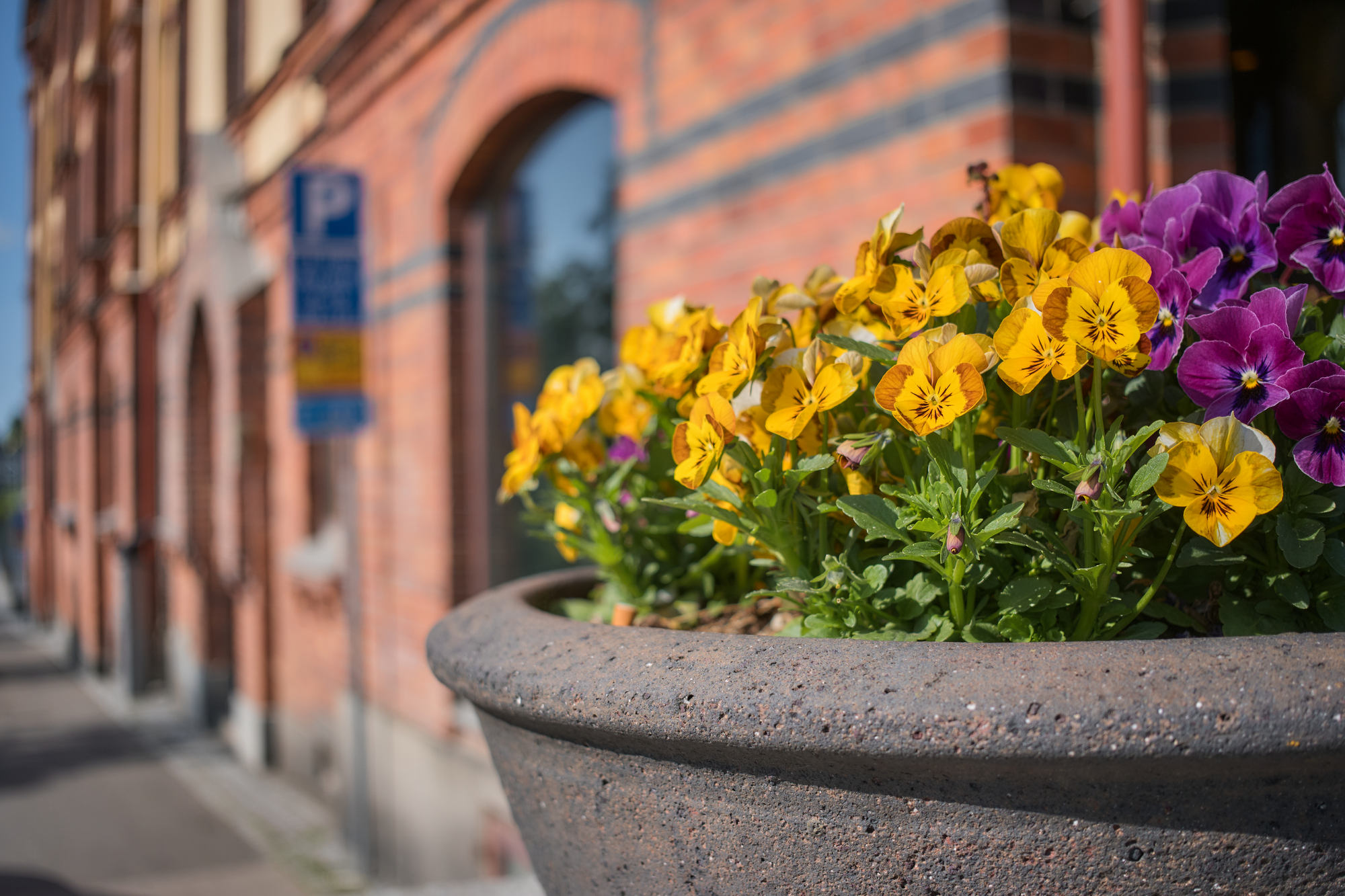 Fujifilm XF 23mm f2.8_blogg1.jpg