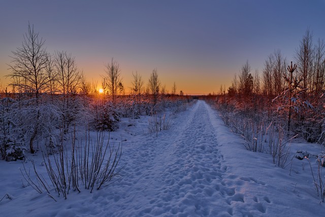 Panasonic S1 MK2_6w.jpg