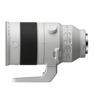 FE 200-600mm f/5,6-6,3 G OSS (fullformat)