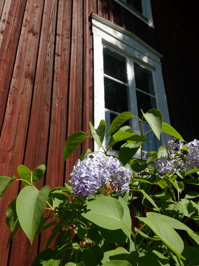 panasonic_tz95_16w.jpg