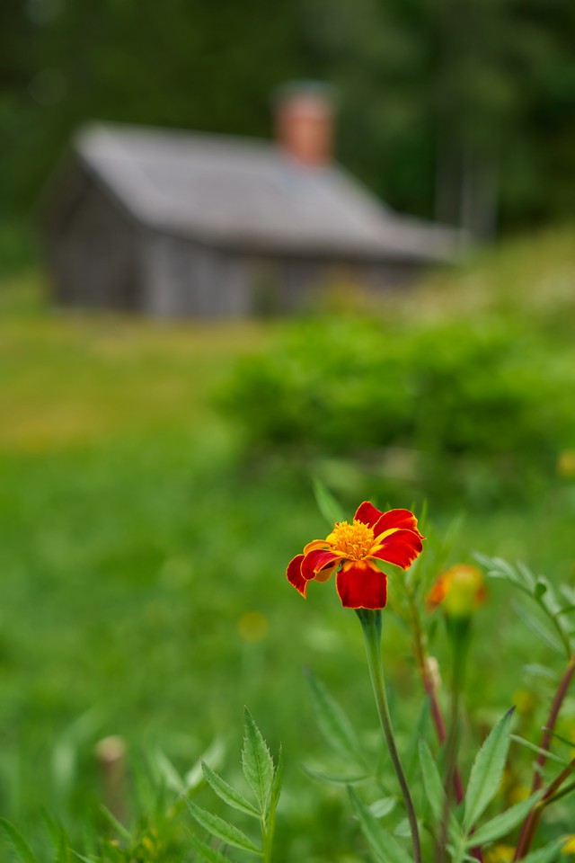 Sigma 17-40mm f1.8_7w.jpg