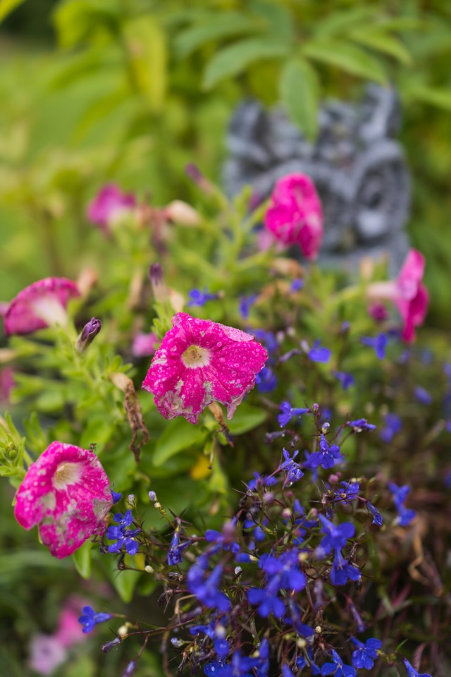 Sony RX1R III_8w.jpg