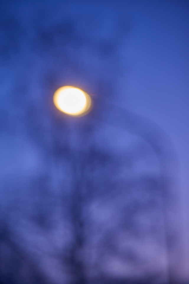 Nikon Z 24-120mm_26w.jpg