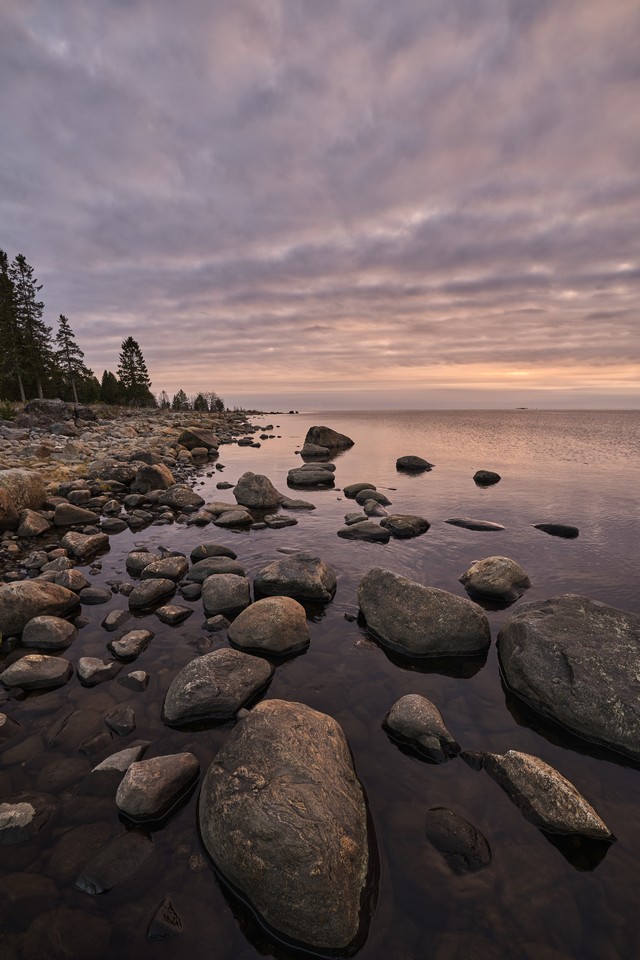 Canon EOS R6 Mark III_26w.jpg