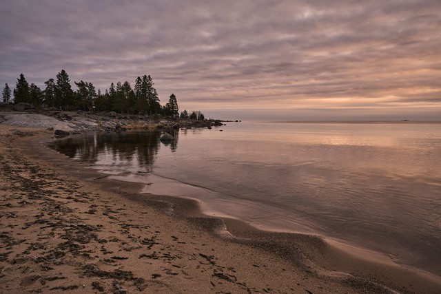 Canon EOS R6 Mark III_28w.jpg