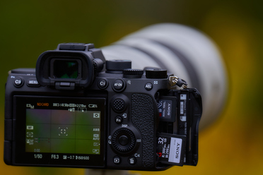 Sony A7s mk3_10.jpg