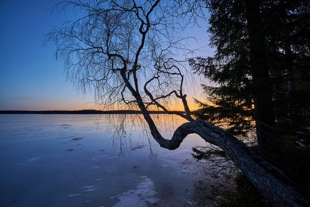 Viltrox 9mm f2.8_9w.jpg