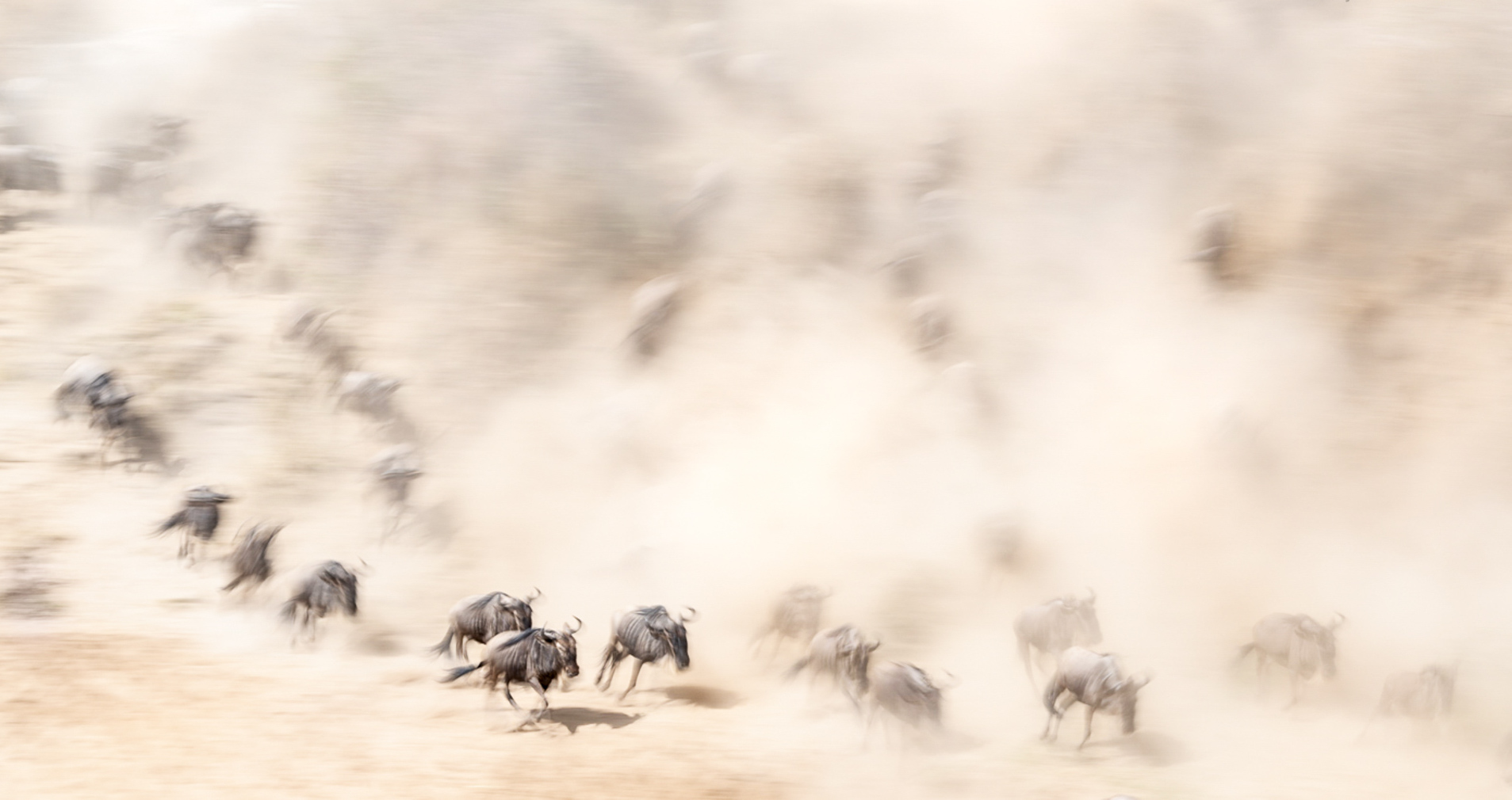Masi-Mara-offroda-23.jpg