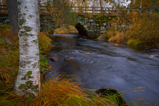 voigtländer_nokton 21mm_4w.jpg