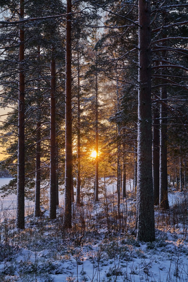 Viltrox 85mm f2 EVO_23w.jpg