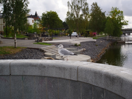 P1000078w.jpg