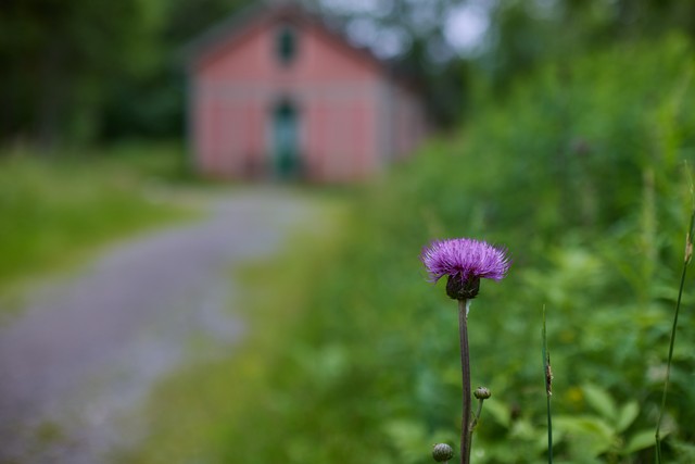 Canon RF 45mm f1.2 STM_20w.jpg