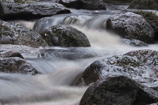 Sony RX 10 V_56w.jpg