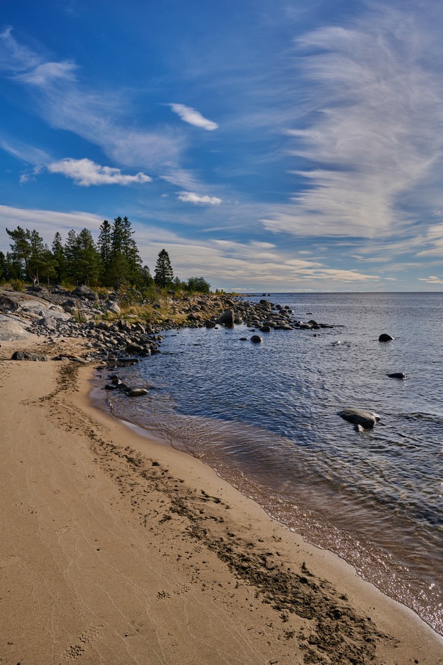 Nikon Z 24-70mm f2.8 II_21w.jpg