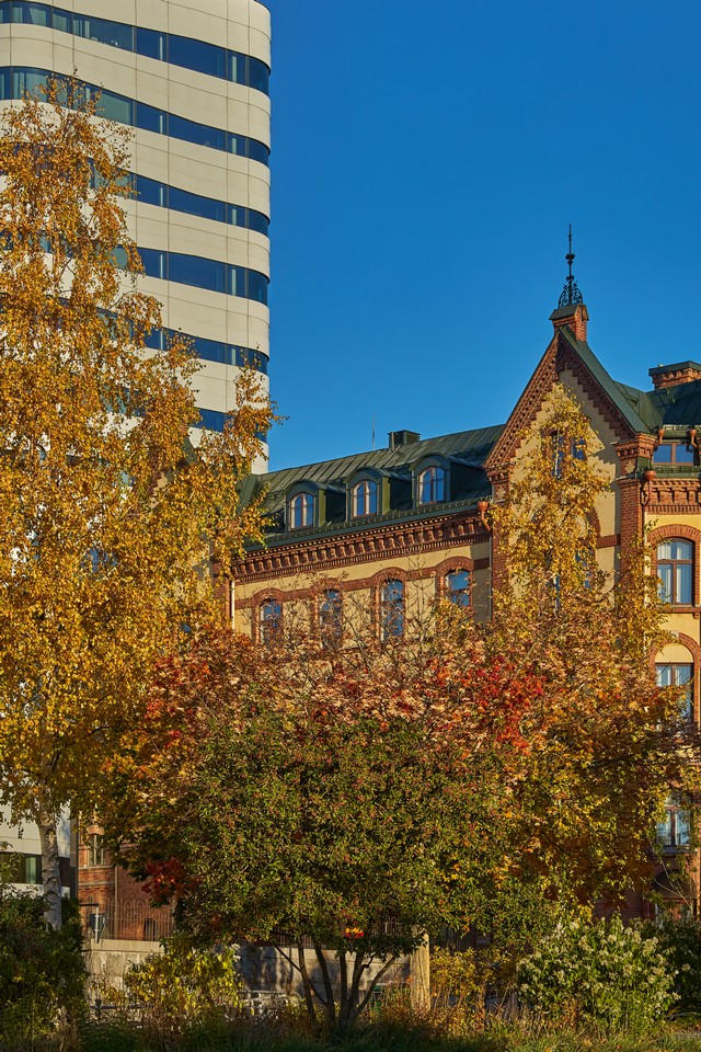 Viltrox 56mm f1.2_30w.jpg