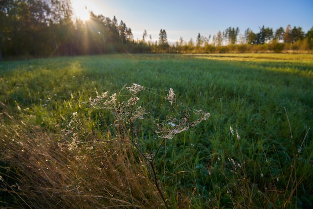 Sigma 20-200mm DG C_17w.jpg