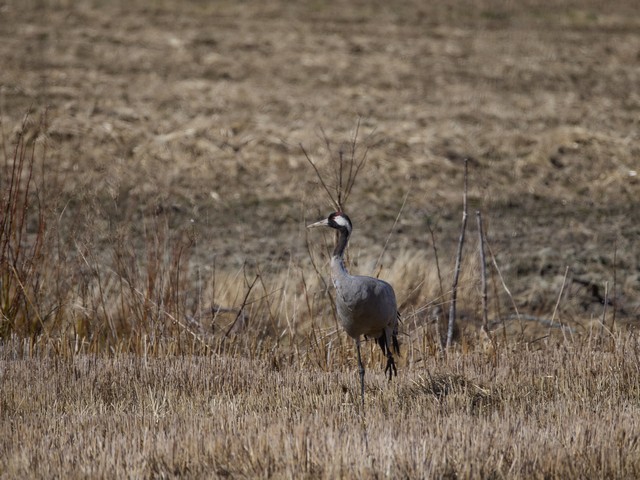 OM System 100-400mm_17w.jpg