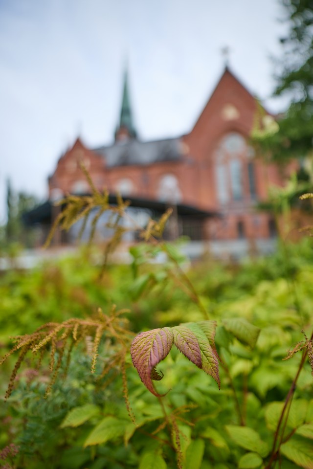 Canon RF 20mm f1.4 VCM_21w.jpg