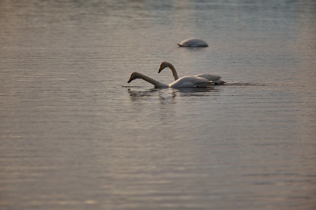 Panasonic S 100-400mm_6w.jpg