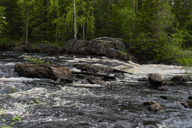 Sony A7R VI_33w.jpg
