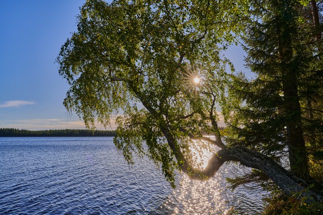 Nikon Z 24-70mm f2.8 II_13w.jpg