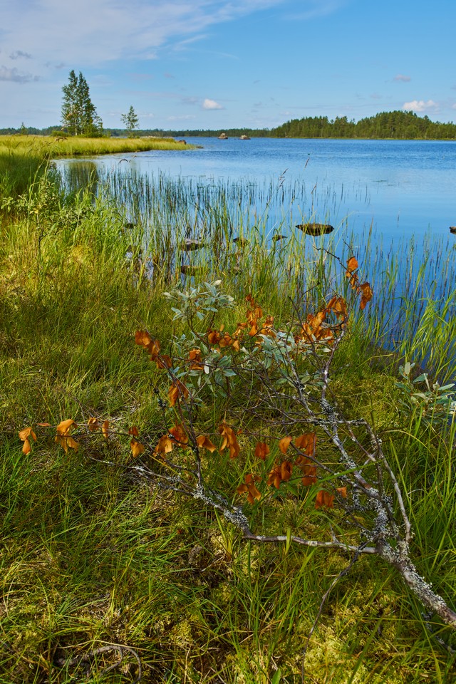 Sigma 17-40mm f1.8_12w.jpg