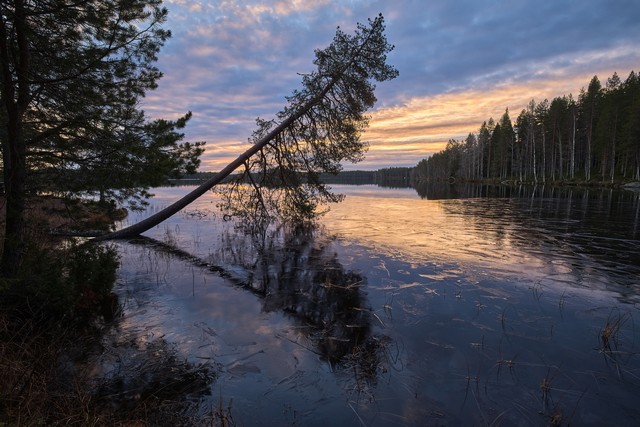 Canon EOS R6 Mark III_7w.jpg