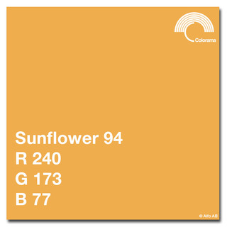 Bakgrundspapper 2,72 x 11 m, Sunflower 