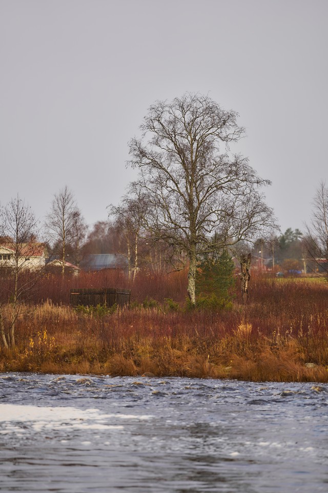 Sigma 135mm f1.4_23w.jpg