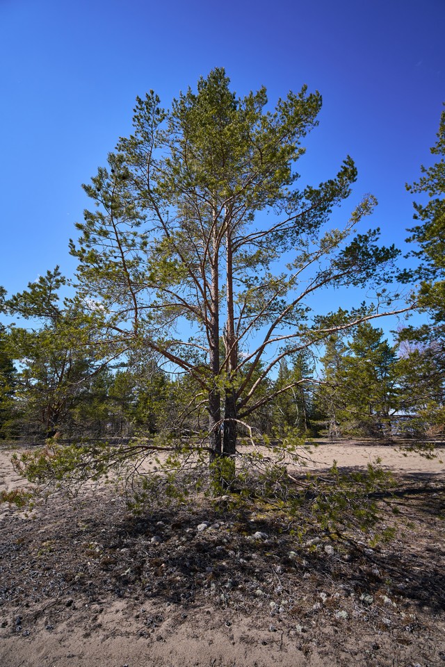 Samyang 14-24mm f2.8_1w.jpg