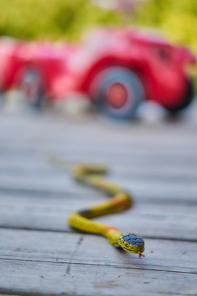 Sigma 17-40mm f1.8_31w.jpg