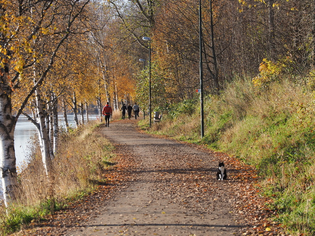 Olympus_E M5 III_4w.jpg