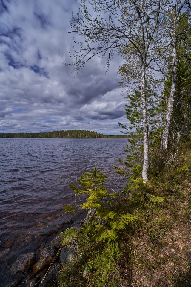 Samyang 14-24mm f2.8_20w.jpg