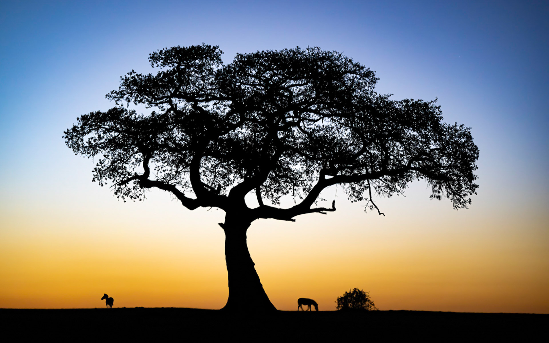 Masi-Mara-offroda-26.jpg