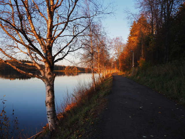 PA120110w.jpg