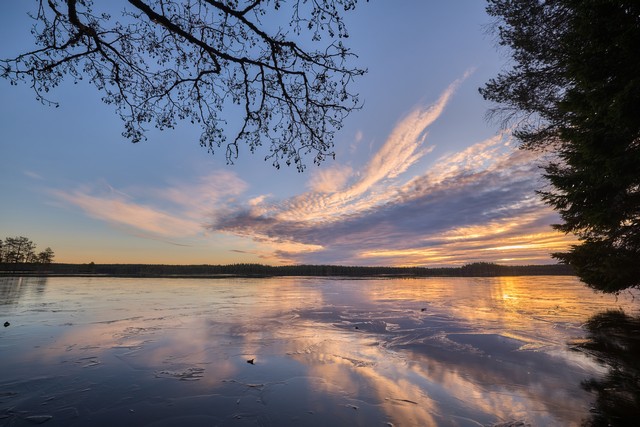 Canon EOS R6 Mark III_9w.jpg