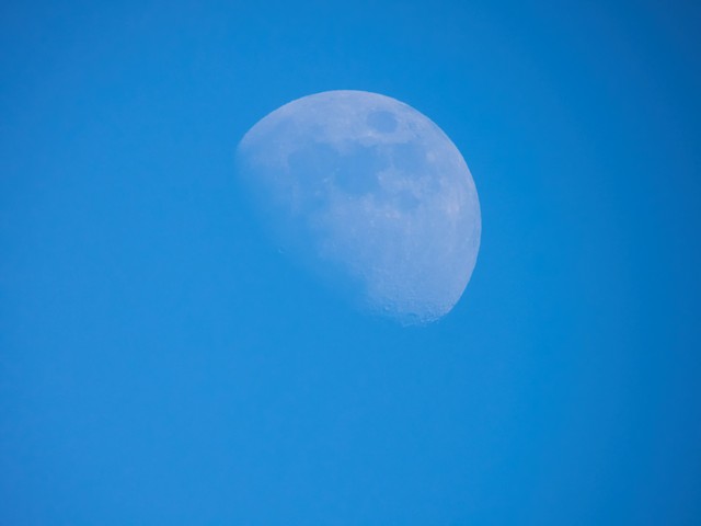 Nikon P1100_2w.jpg