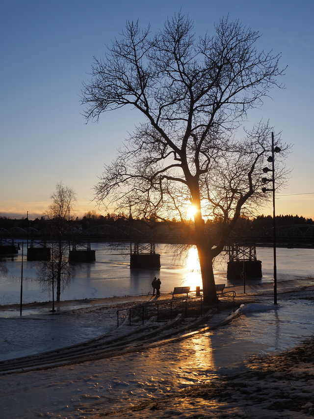 olympus E M1 Mark III_16w.jpg