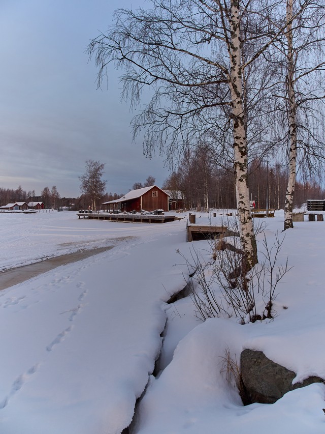 OM System OM 5 II_9w.jpg