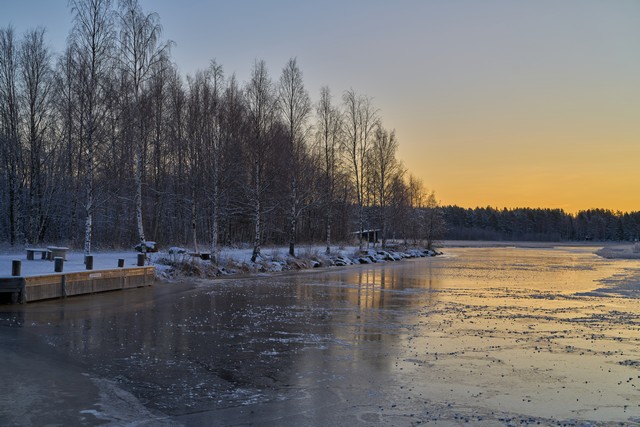 Samyang 24-60mm f2.8_6w.jpg