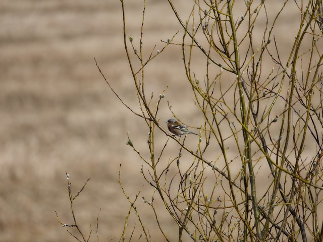 OM System 100-400mm_20w.jpg