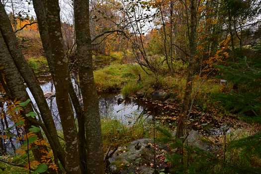 DSC_0475w.jpg