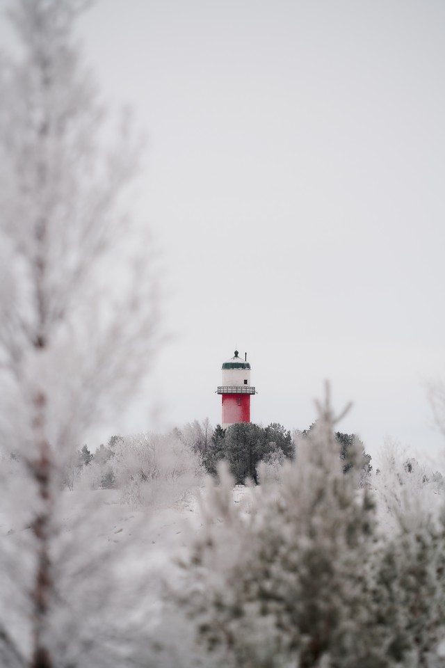 Sigma 200mm f2_24w.jpg