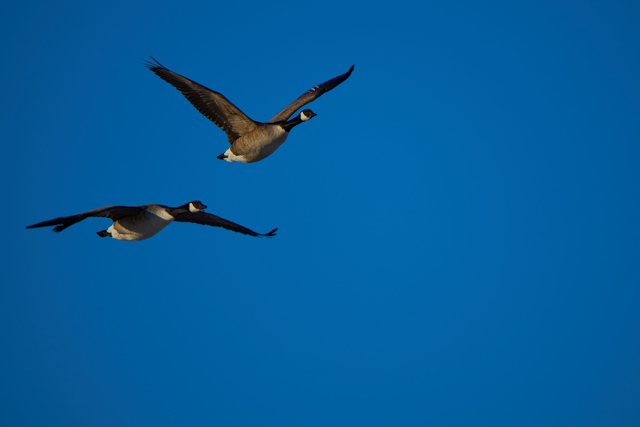 DSC01376w.jpg