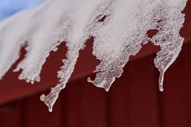 Sony 100mm f2.8 Macro_21w.jpg