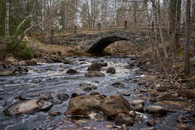 Sigma 35mm f1.4 II_29w.jpg