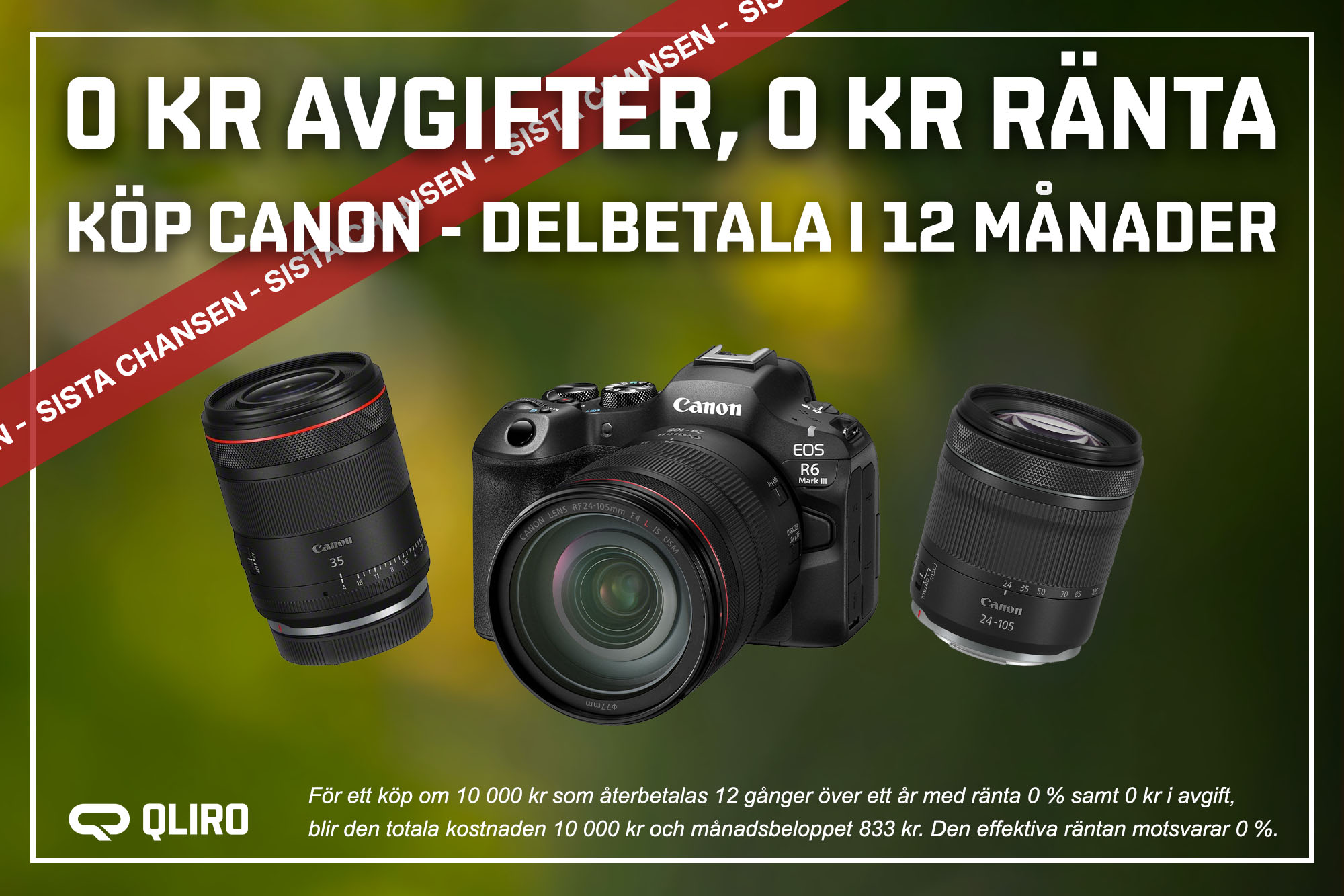 Canon_Qliro_12man_blogg_sistachansen_grön.jpg